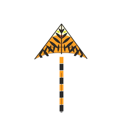 Selected Nepali kite